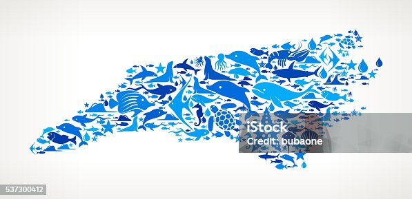 istock NorthCarolina Ocean Marine Life Blue Icon Pattern 537300412