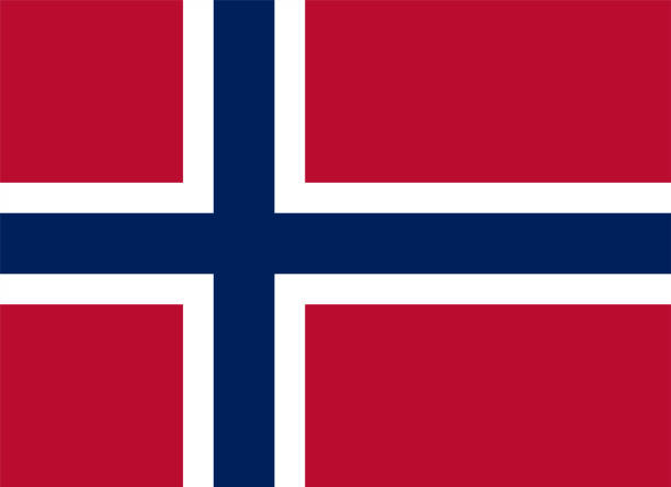 노르웨이 국기 벡터 - norway stock illustrations