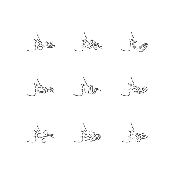 Nose smelling scent pixel perfect linear icons set. Person sniffing good and bad odor. Fume swirls. Customizable thin line contour symbols. Isolated vector outline illustrations. Editable stroke Nose smelling scent pixel perfect linear icons set. Person sniffing good and bad odor. Fume swirls. Customizable thin line contour symbols. Isolated vector outline illustrations. Editable stroke breath vapor stock illustrations