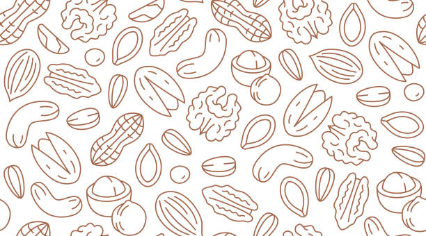 bildbanksillustrationer, clip art samt tecknat material och ikoner med mutter sömlösa mönster med plana linjer ikoner. vektor bakgrund av torra nötter och frön-mandel, cashew, jordnötter, valnöt, pistasch. mat konsistens för livsmedelsbutik, brun vit färg - pistagenötter