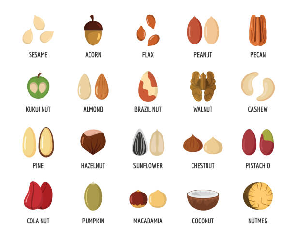 Nut types with signed names icons set, flat style Nut types ith signed names icons set. Flat illustration of 20 nut types ith signed names vector icons for web seed stock illustrations