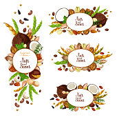 Nuts and beans icons and signs. Organic coconut, peanuts, pistachios and walnuts kernels. Vector vegan or vegetarian harvest, sunflower seeds, cashews or almonds and macadamia, peas and coffee vector