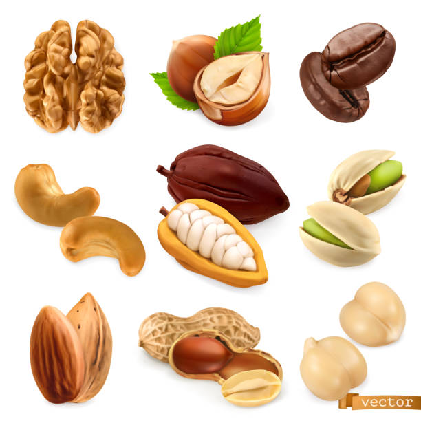 ilustrações de stock, clip art, desenhos animados e ícones de nuts and beans. walnut, hazelnut, coffee, cashew, cocoa, pistachio, almond, peanut, chickpea. 3d realistic vector set - nozes