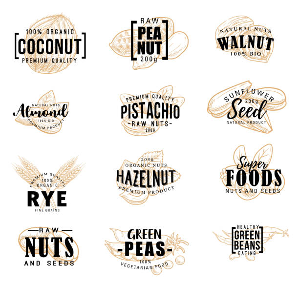 ilustrações de stock, clip art, desenhos animados e ícones de nuts and fruit seeds vector sketch lettering - nozes
