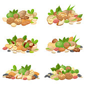 Nuts bunch. Fruit kernels, dried almond nut and cooking seeds. Cellulose food macadamia, walnut and grain nuts. Agriculture diet seeding mix cartoon isolated vector icons set