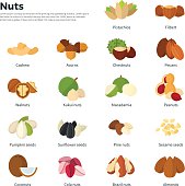 Collection of different nuts vector flat illustration. Healthy nutrition and vitamin concept. Heaps of different nuts, walnuts, cashews, almonds and others isolated on white background