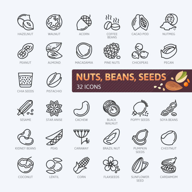 Nuts, seeds and beans elements - simple vector icon collection. Nuts, seeds and beans elements - minimal thin line web icon set. Outline icons collection. Simple vector illustration. chestnut food stock illustrations