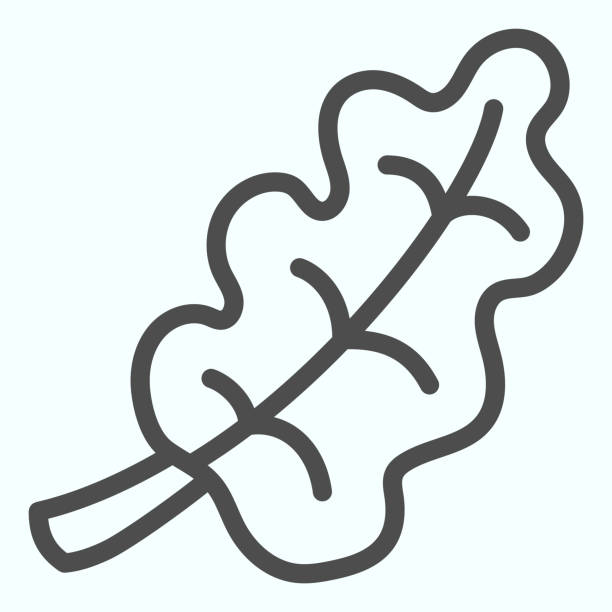 ikona pojedynczej linii liścia dębu. liście roślin leśnych. jesienna koncepcja projektu wektorowego sezonu, piktogram stylu konturu na białym tle, wykorzystanie w internecie i aplikacji. eps 10. - liść dębu stock illustrations