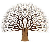 A big oak tree illustration