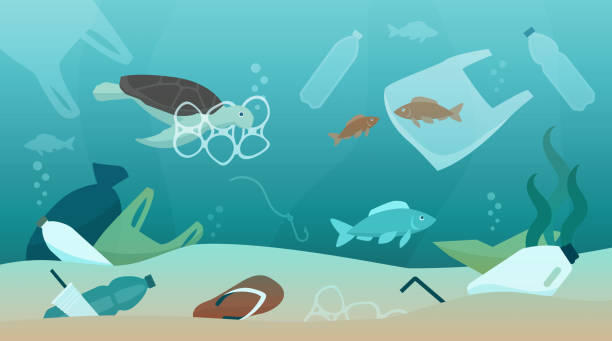 Ocean pollution and its impact on ecosystem Ocean pollution impact on ecosystem and wildlife animals, sustainability and environmental protection concept water pollution stock illustrations