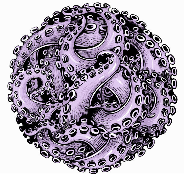 Octopus in a circle vector art illustration