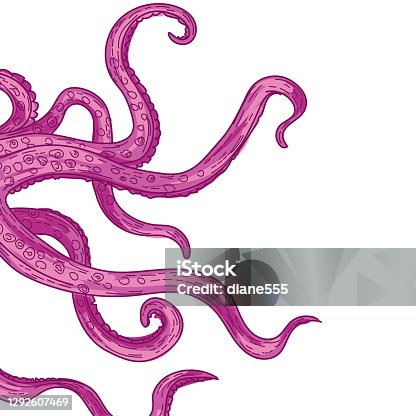 istock Octopus Tentacles 1292607469