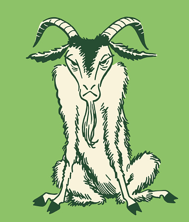 Old Goat with Horns