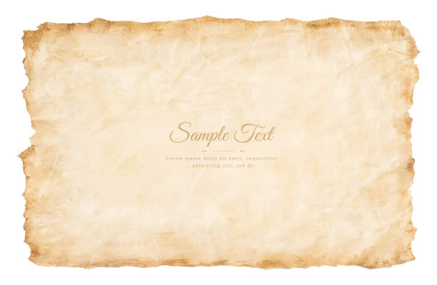 old parchment paper sheet vintage aged or texture isolated on white background old parchment paper sheet vintage aged or texture isolated on white background. paper borders stock illustrations