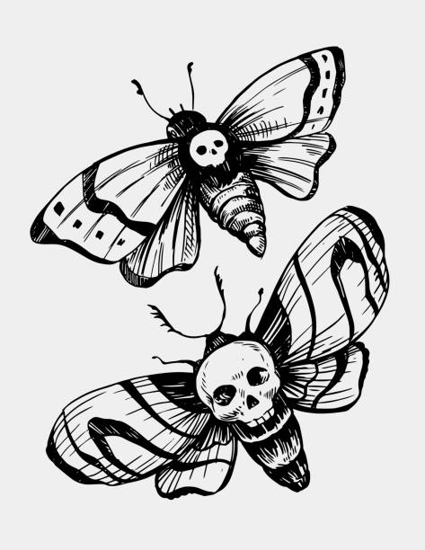 Old school moth. Hand drawn sketch converted to vector Old school moth. Hand drawn sketch converted to vector moth stock illustrations