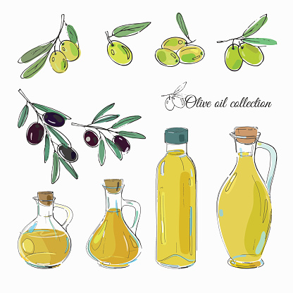Оливковое масло ветка vector