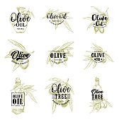 Olive sketch lettering, olive oil or pickled marinades package and natural framing product icons. Vector isolated symbols of olive branch, organic extra virgin oil in bottle or glass jar
