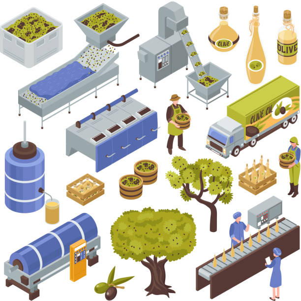 ilustrações de stock, clip art, desenhos animados e ícones de olive production set - technology picking agriculture