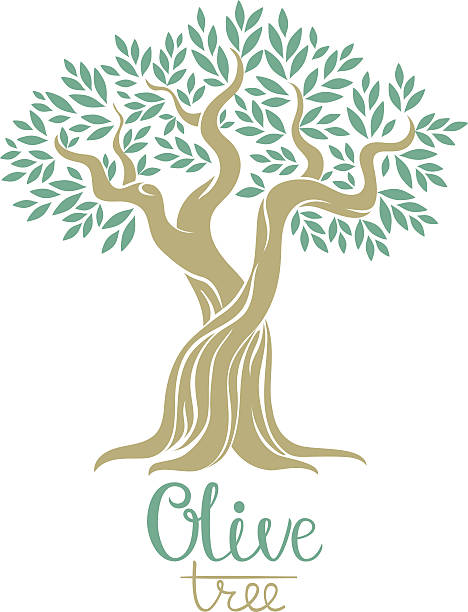 ilustrações de stock, clip art, desenhos animados e ícones de oliveira ilustração vetorial. - emblem food label