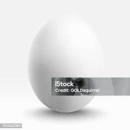 istock One big photorealistic 3D white egg with soft shadow standing on a smooth surface isolated on white paper background - high reality Easter Holiday greeting card template in vector 1137632382