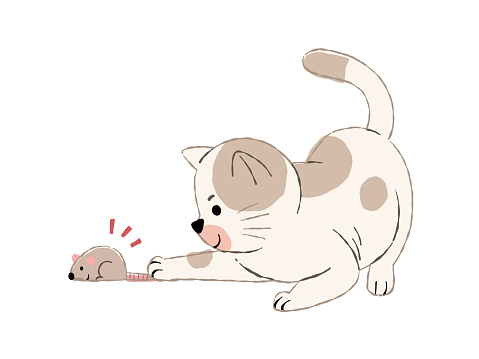 one cute cat catching mouse