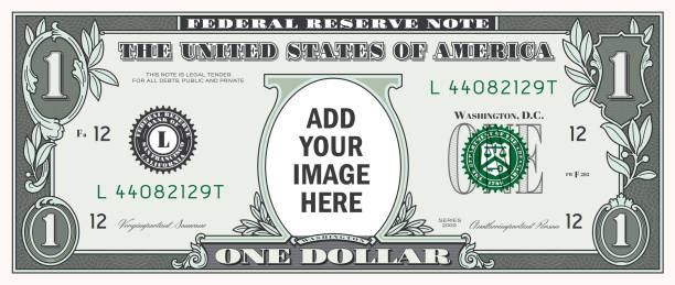 US One Dollar Bill USD Money Template with Copy Space Add Your Image Template of a one US dollar bill. Vector Illustration with copy space. federal reserve stock illustrations