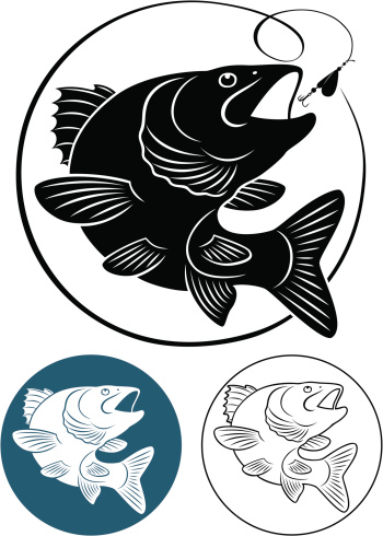 One large and two small cartoon images of predatory fish