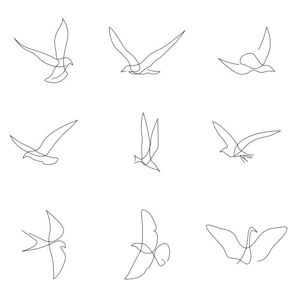 1行の鳥セット。鳥のコレクション。手描きベクトルイラスト - 鳥点のイラスト素材／クリップアート素材／マンガ素材／アイコン素材