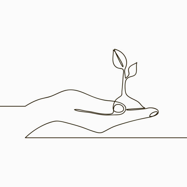 One line drawing of sprout in hand. Continuous line growing plant in hand palm. Hand-drawn illustration. Vector. One line drawing of sprout in hand. Continuous line growing plant in hand palm. Hand-drawn illustration. Vector. growth drawings stock illustrations