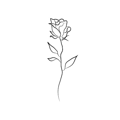 One Line Rose Design Hand Drawn Minimalism Style Vector Illustration ...