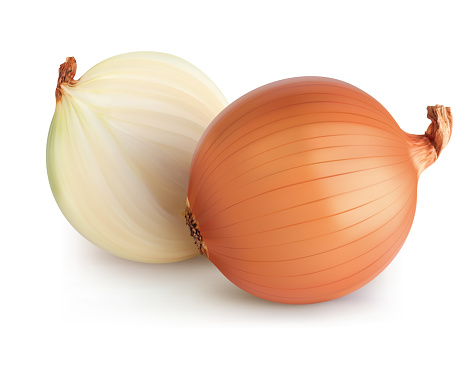 Onions isolated. Realistic vector 3d illustration