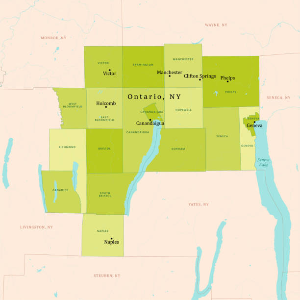нью-йорк онтарио векторная карта зеленый - manchester united stock illustrations