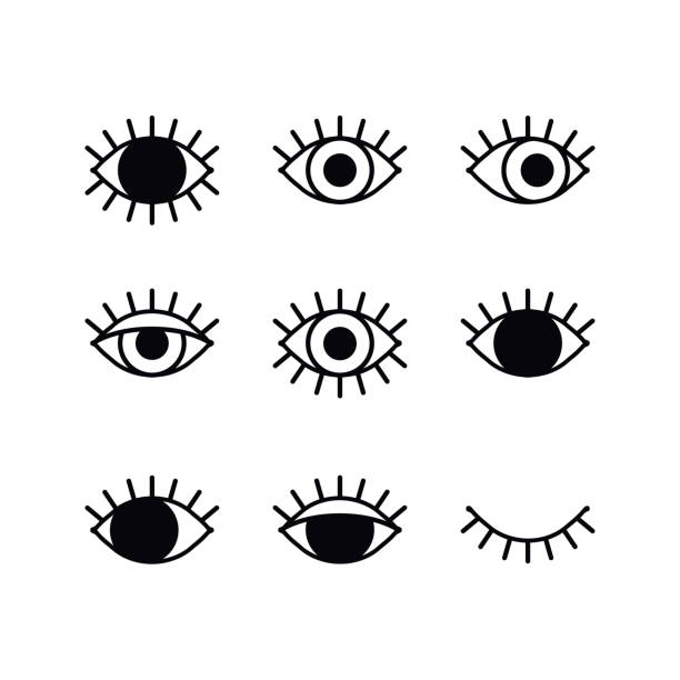 Open and closed eyes line icons set on white background. Look, see, sight, view sign and symbol. Vector linear graphic element. Optical and search theme in minimal design style. Eye with eyelashes. Open and closed eyes line icons set on white background. Look, see, sight, view sign and symbol. Vector linear graphic element. Optical and search theme in minimal design style. Eye with eyelashes winking stock illustrations