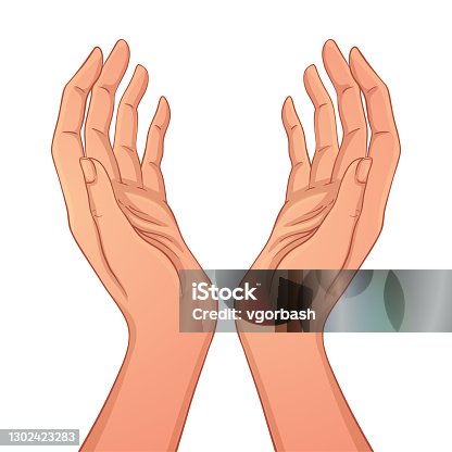 istock Open hands. Isolated vector illustration. 1302423283