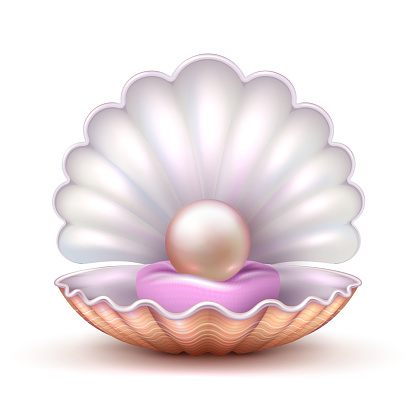 Open Oyster Sea Shell With Valuable Pearl Isolated Realistic 3d Vector ...