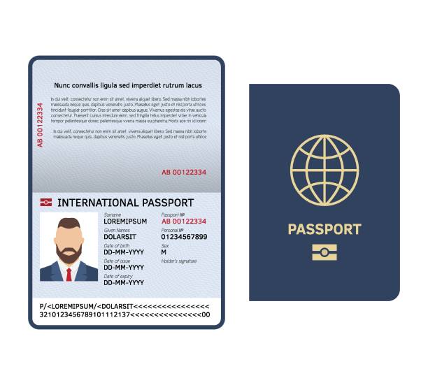ilustrações, clipart, desenhos animados e ícones de passaporte aberto. modelo vetor de identificação documento masculino foto página jurídica amostra passaporte internacional - passport