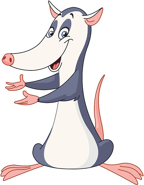 Royalty Free Opossum Clip Art, Vector Images & Illustrations - iStock