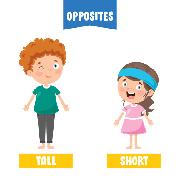 Opposite Adjectives With Cartoon Drawings  tall boy stock illustrations