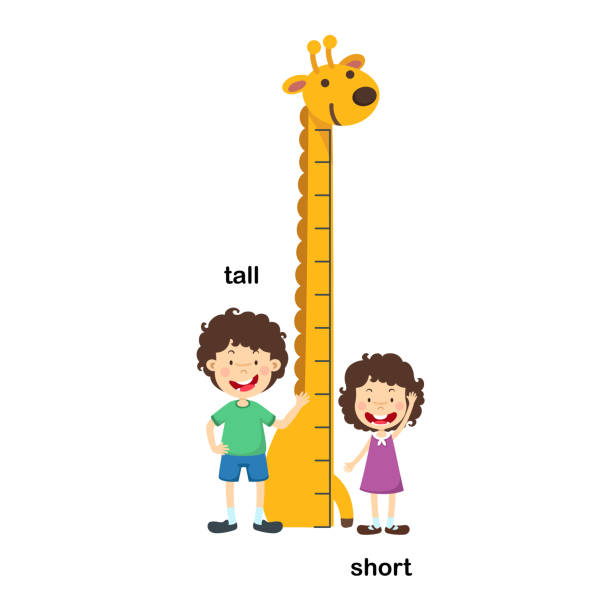 Opposite tall and short Opposite tall and short vector illustration tall boy stock illustrations