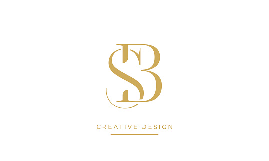 SB or BS Abstract Icon Luxury Logo Icon Monogram