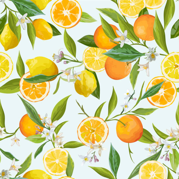 Orange and Lemon Seamless Tropical Pattern in Vector. Illustration of Flowers, Leaves and Fruits.  citrus fruit stock illustrations