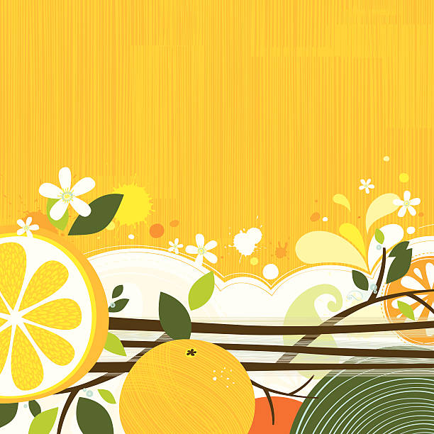 Orange backgound vector art illustration