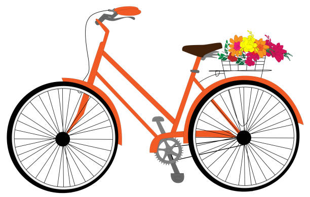 Orange bicycle with flowers in basket. Hipster city urban transportation Orange bicycle with flowers in basket. Hipster city urban transportation cycling borders stock illustrations