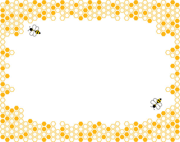 Orange border of geometric hexagons with cute bee. Symbolizing the honeycomb. Orange border of geometric hexagons with cute bee. Symbolizing the honeycomb.  background honey hexagon with white space for text. vector illustration. bee borders stock illustrations