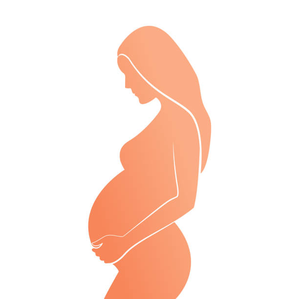 Orange colorful silhouette of pregnant woman with straight hair. Vector illustration pregnant silhouettes stock illustrations
