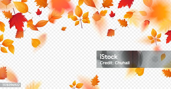 istock Orange fall colorful leaves flying falling effect. 1178396922