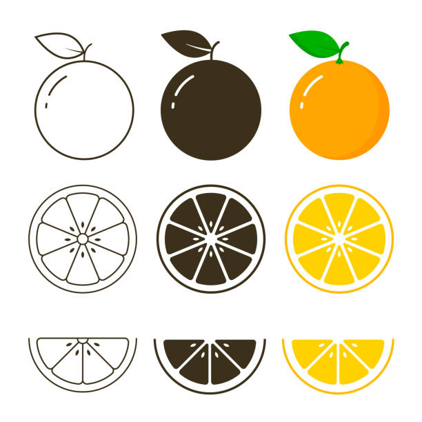 오렌지 과일 아이콘 컬렉션, 벡터 개요 및 실루엣 세트, 오렌지의 컷 - 주황색 stock illustrations
