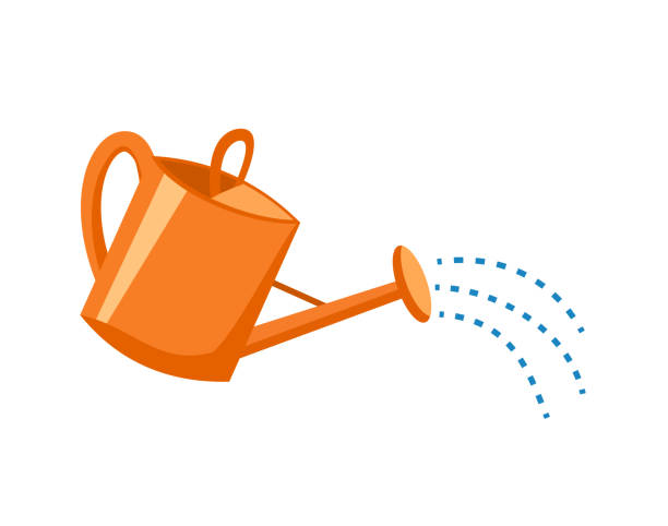 Orange plastic watering can with water. Orange plastic watering can with water. Vector illustration of a watering can on white background. Flat style. watering can stock illustrations