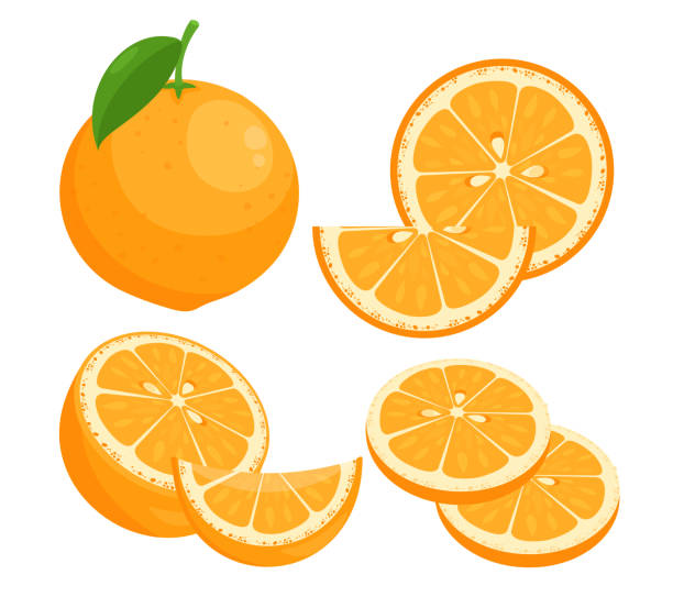 ilustrações, clipart, desenhos animados e ícones de laranjas de ilustrações vetoras planas definidas. cítrico maduro suculento inteiro em casca com pacote isolado de folha em fundo branco. fatias de frutas frescas naturais de verão com a coleção de elementos de design de sementes. - orange