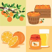 istock Oranges from Tree to Table 165688395